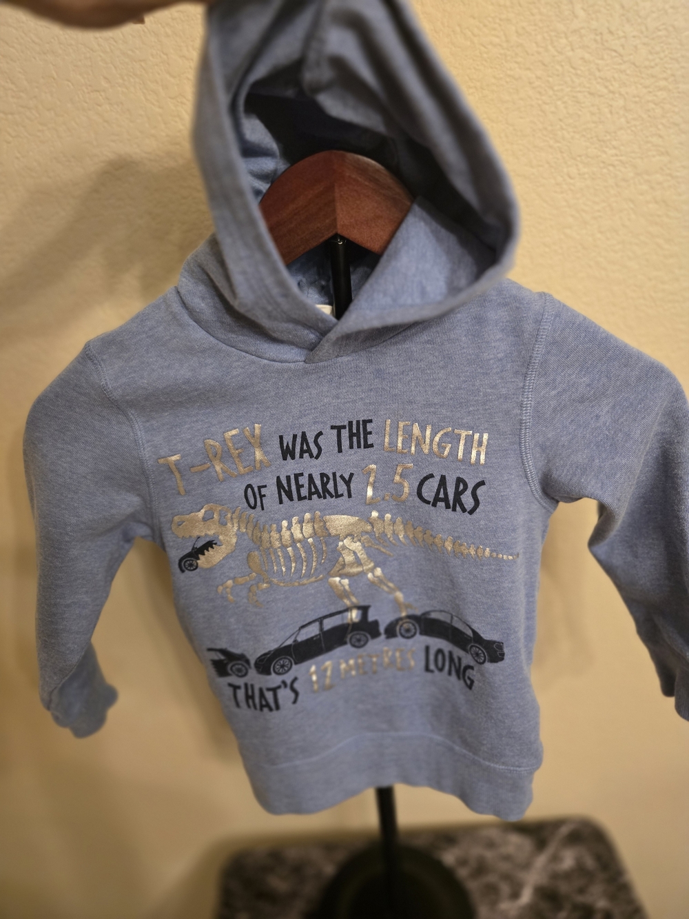 H&M Dinosaur Kids Hoodie